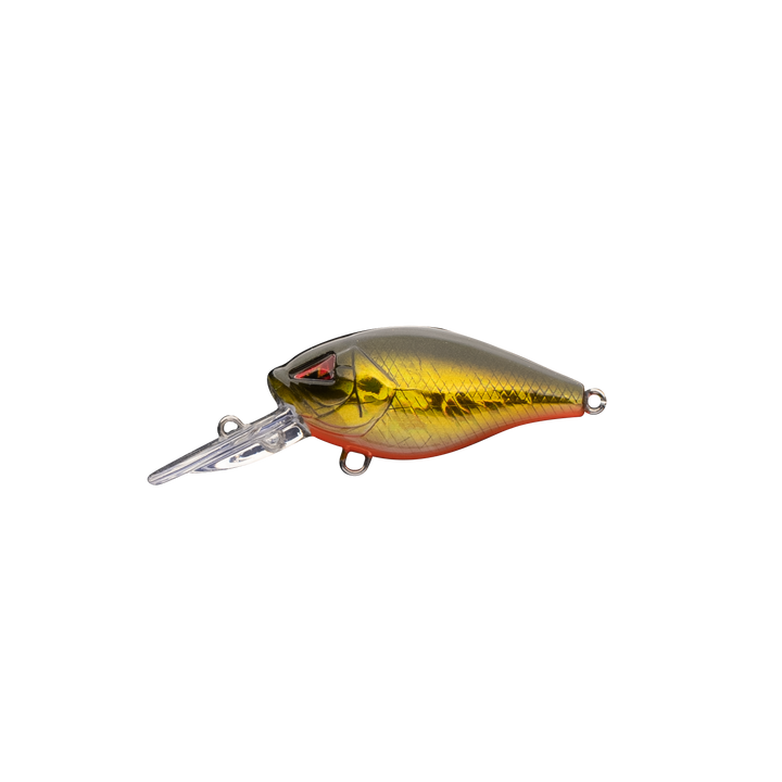 CM36 Mini-Diver Crankbait