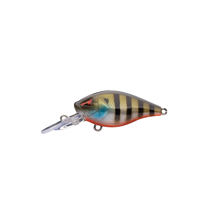 CM36 Mini-Diver Crankbait
