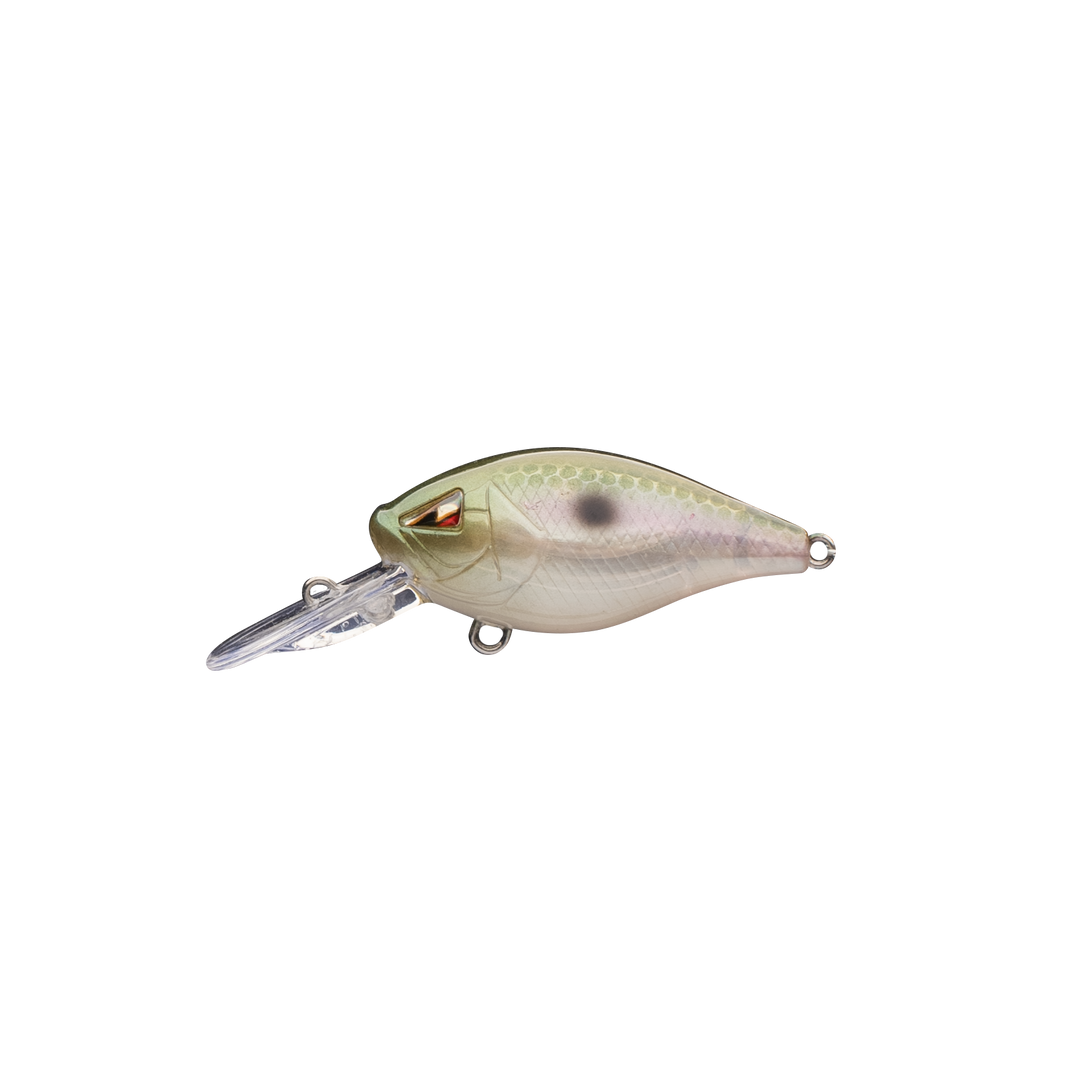 CM36 Mini-Diver Crankbait
