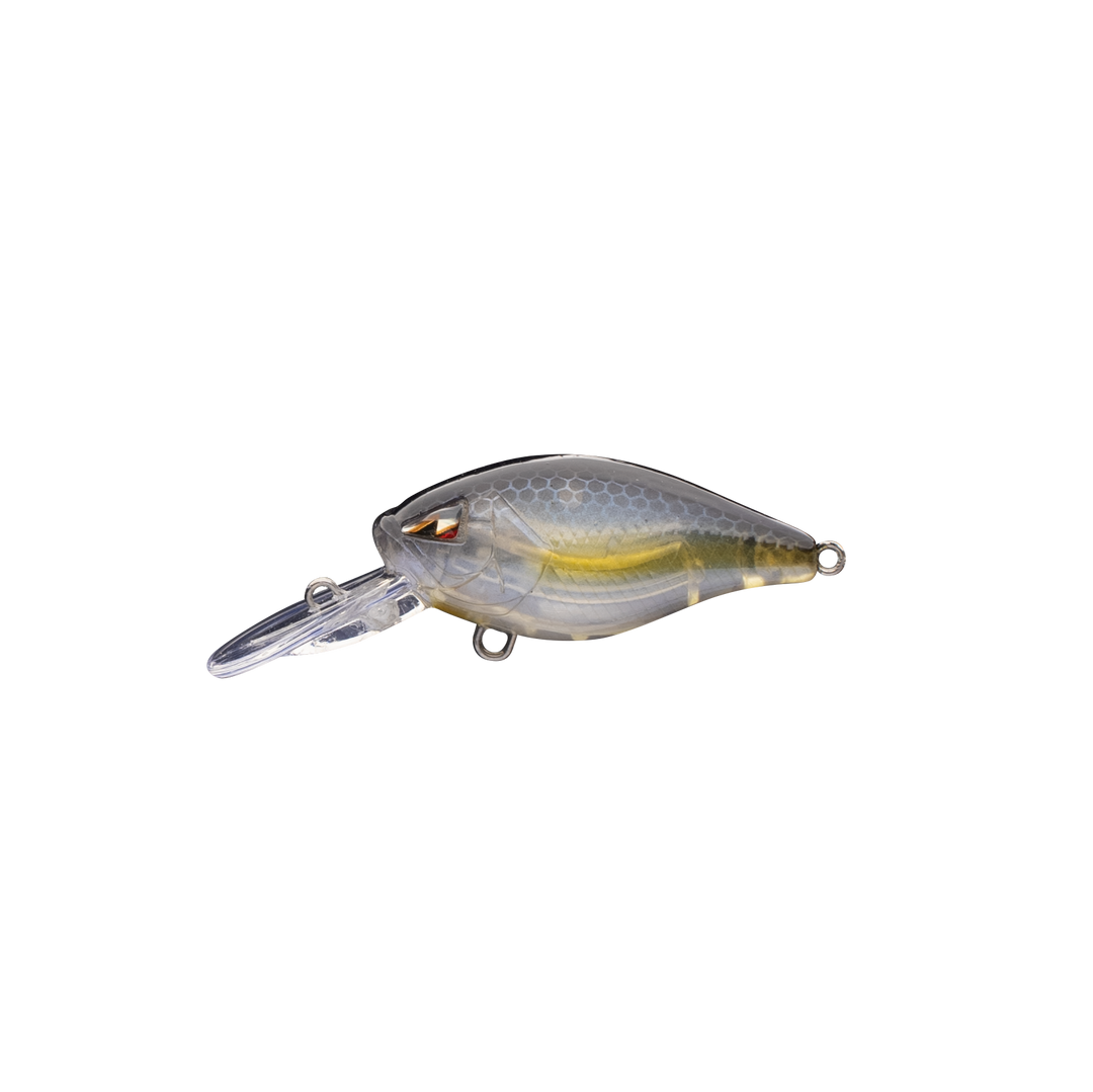 CM36 Mini-Diver Crankbait