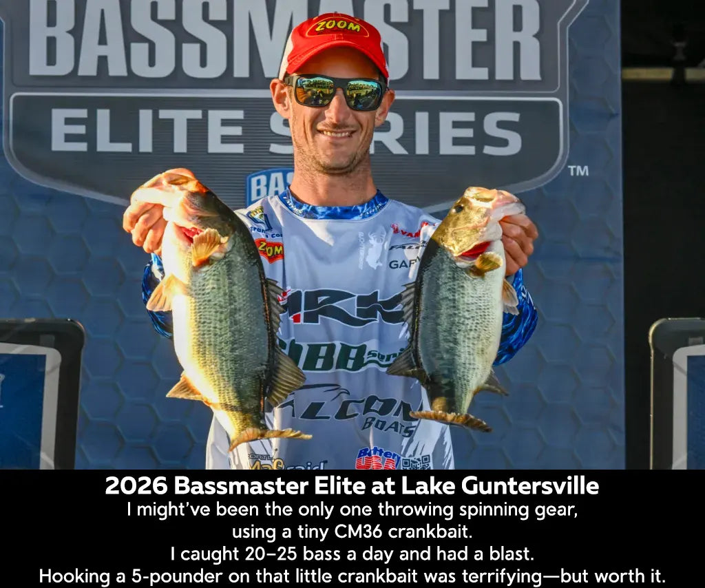 CM36 Mini-Diver Crankbait