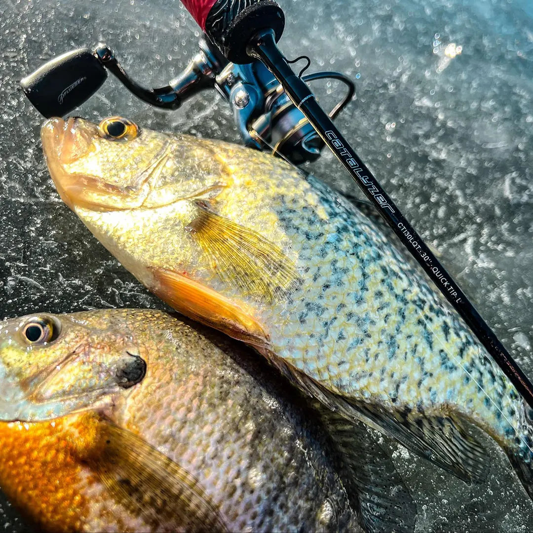 ark fishing pole item id Catalyzer Series Ice Rod 30"ML