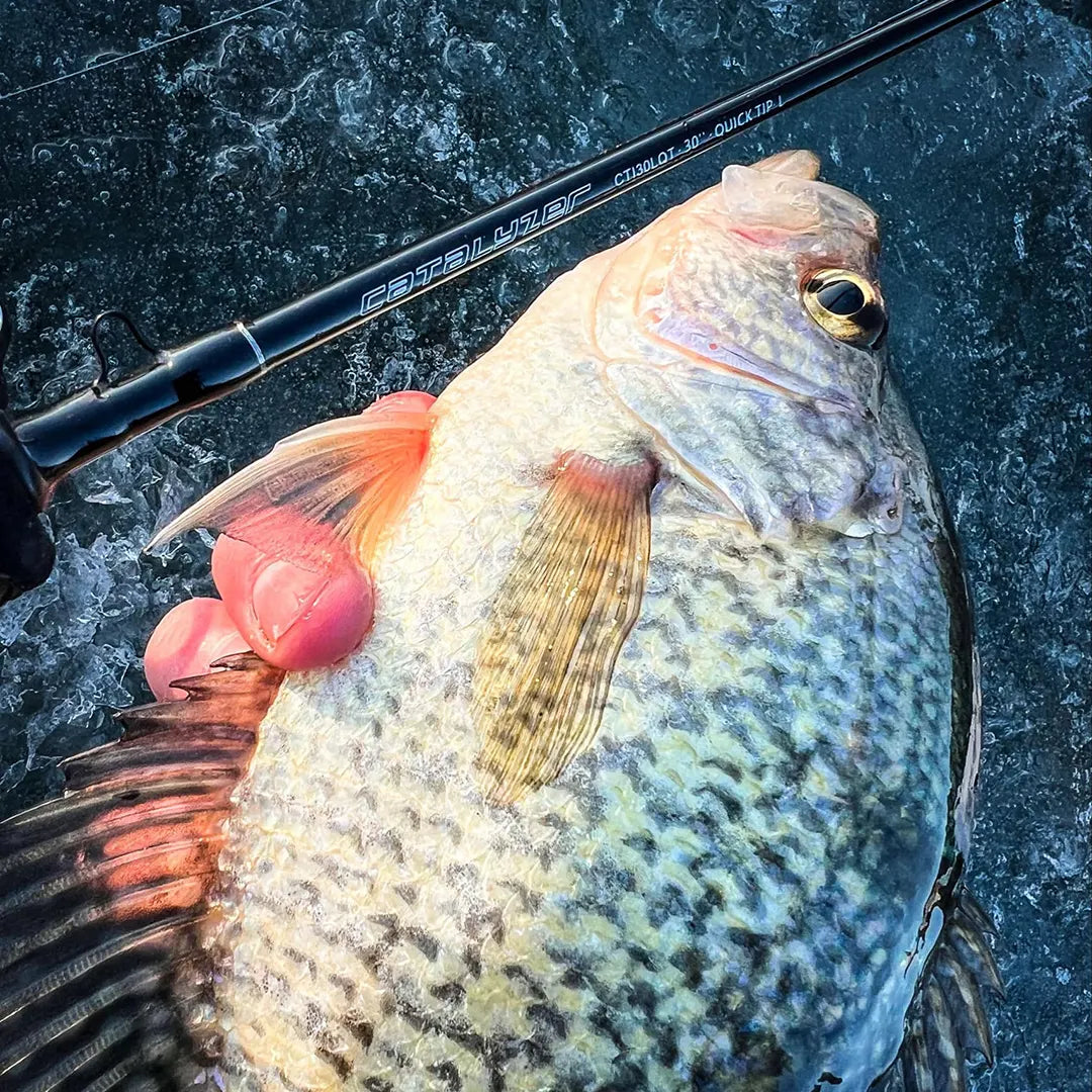 Catalyzer Series Ice Rod 30
