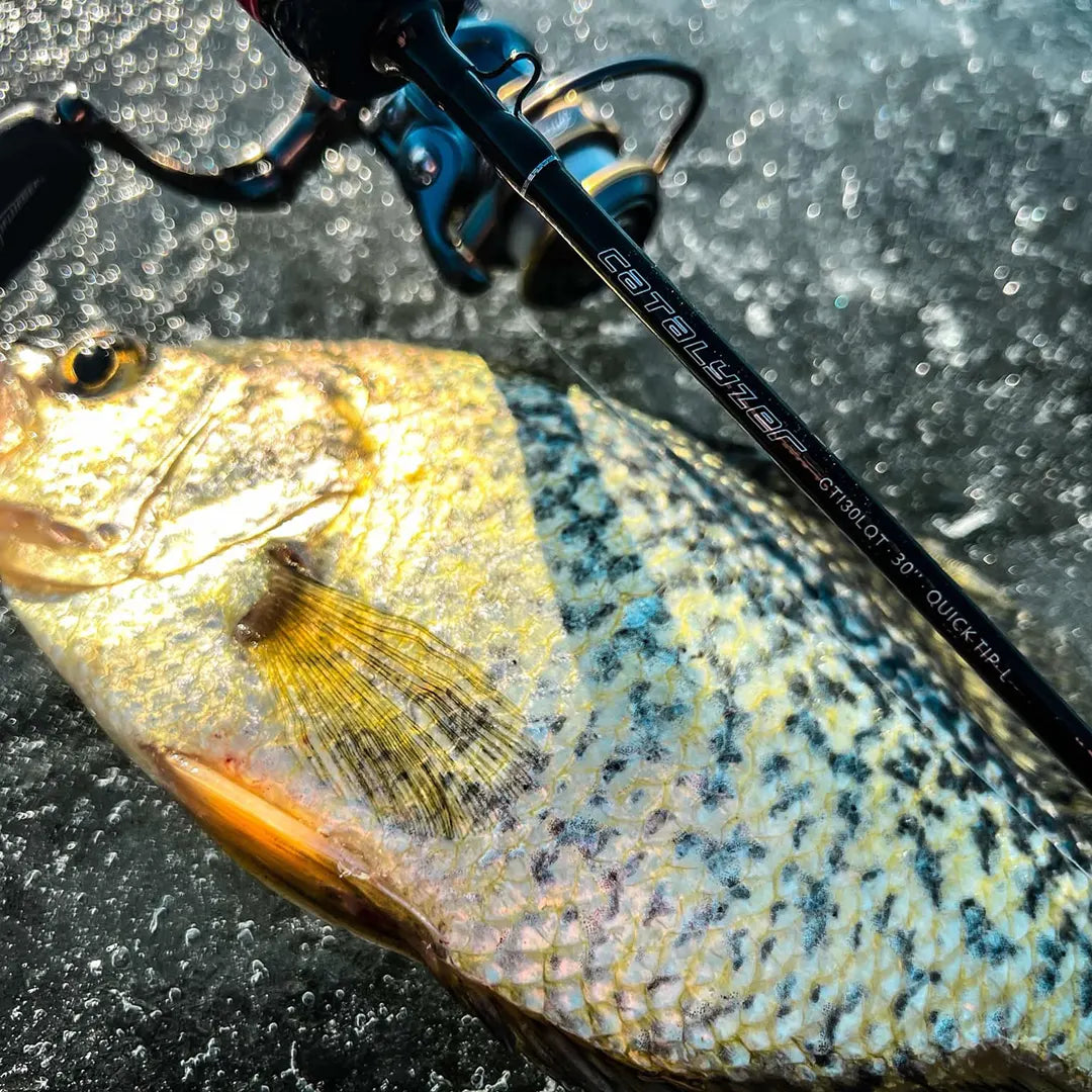 Catalyzer Series Ice Rod – ARKFishing - Main Image
