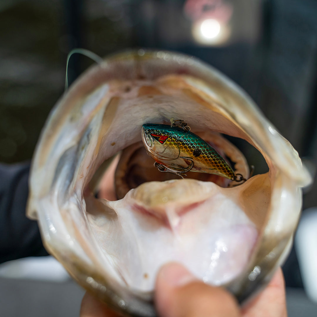KANNON Series Lipless Crankbaits
