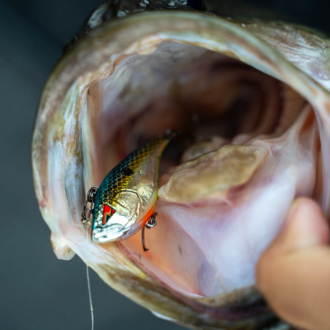 KANNON Series Lipless Crankbaits