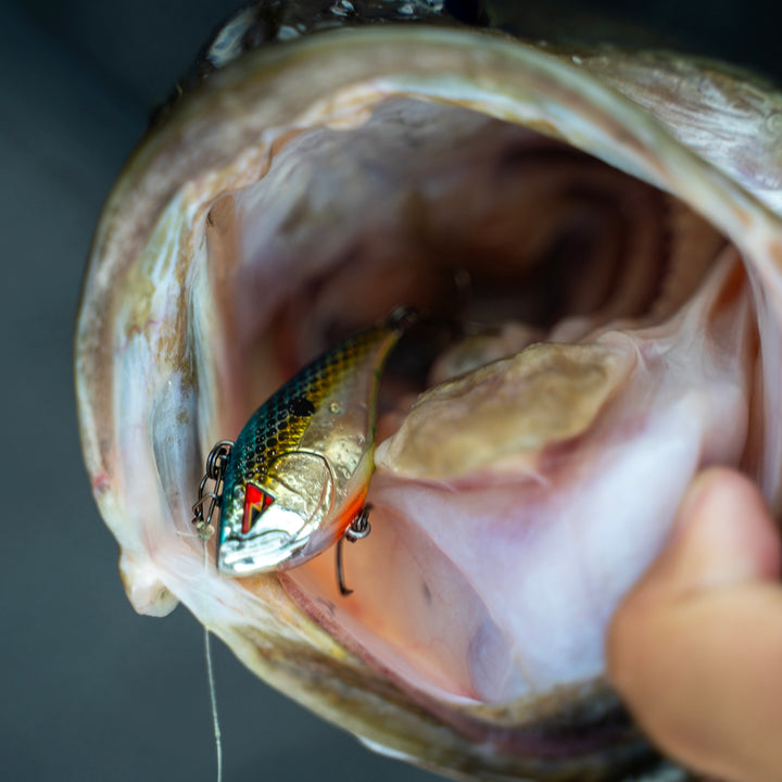 KANNON Series Lipless Crankbaits