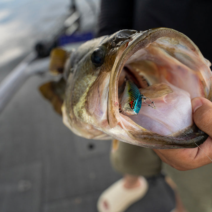 KANNON Series Lipless Crankbaits