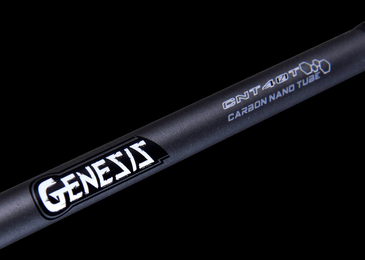Genesis Series 2-Piece Rod – ARKFishing