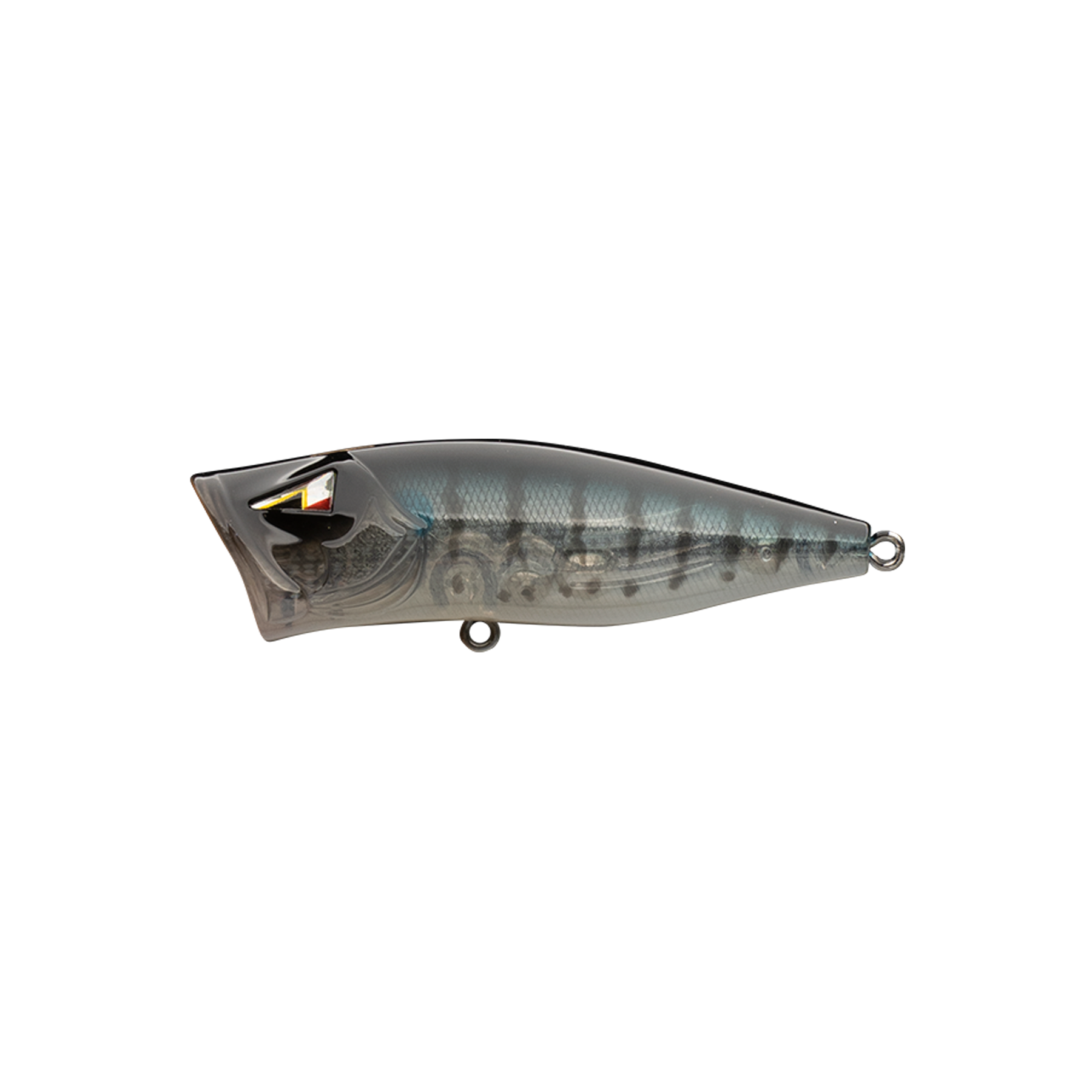 Amazon.com : Cabo Big Poppas Popper Metallic Fishing Bait