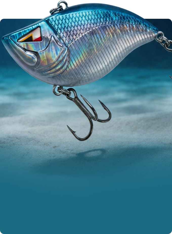 BAITS